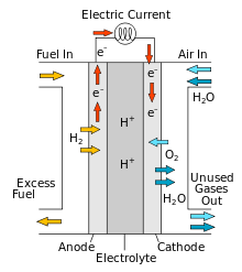 220px-Solid_oxide_fuel_cell_protonic_svg.png