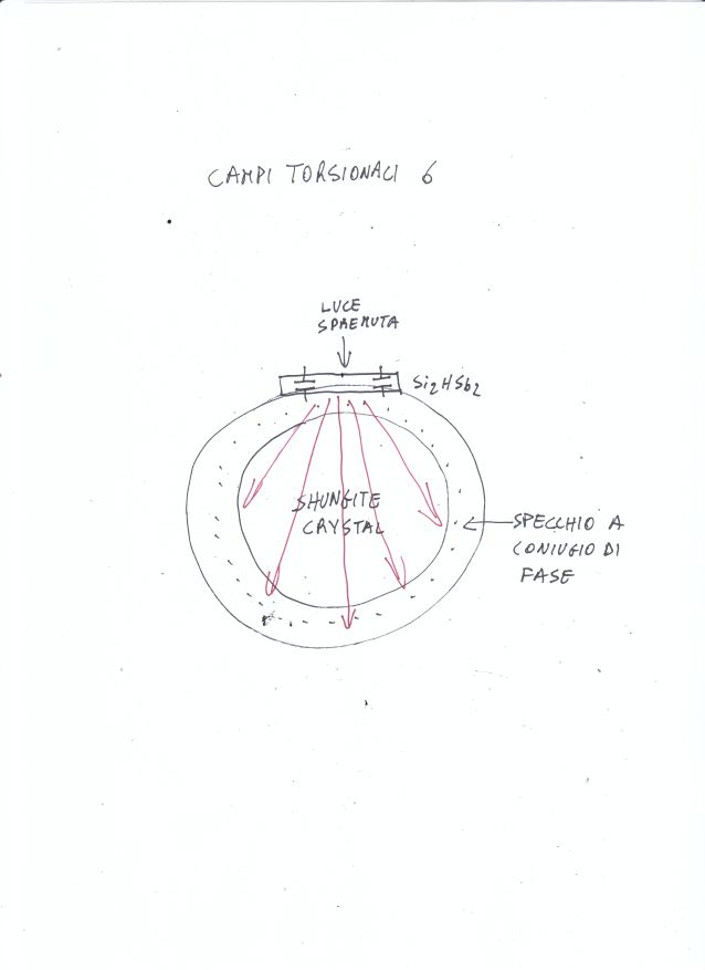 campi_torsionali_6.jpg